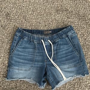 Torrid Shorts
